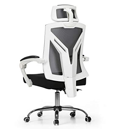 Ergonomic Computer Chair 